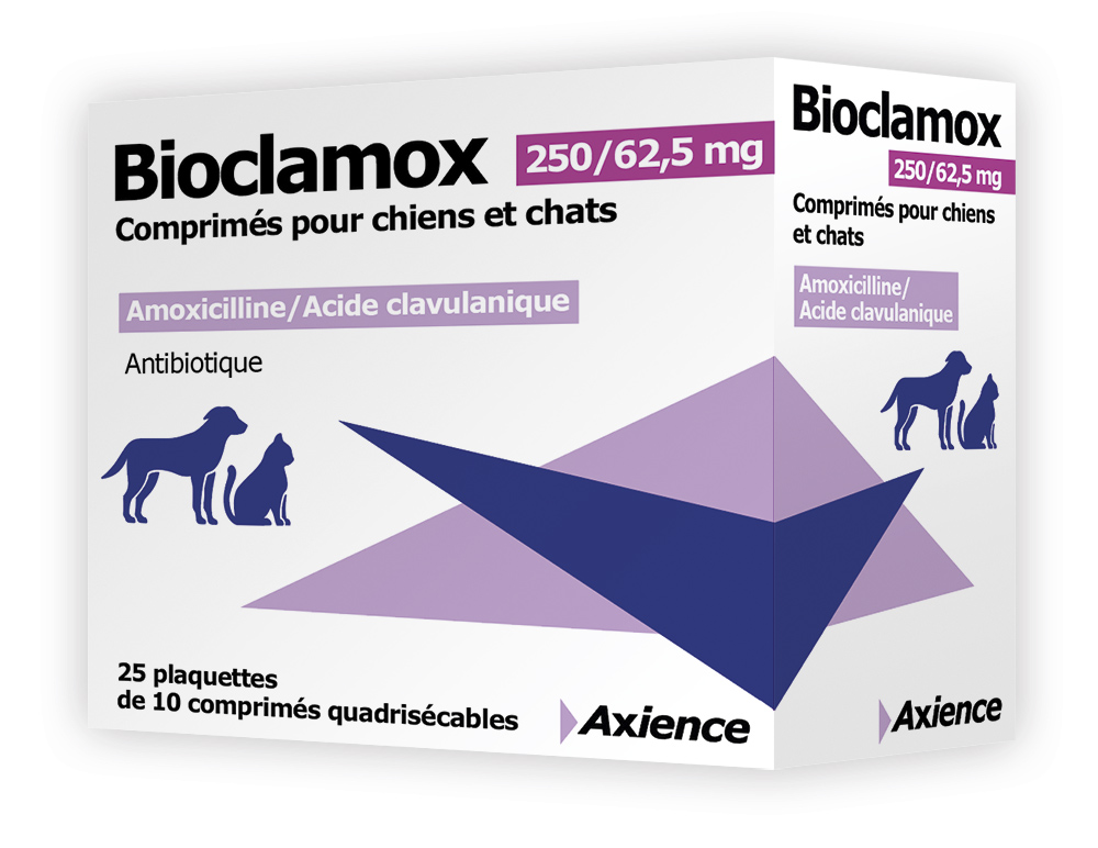 Bioclamox 250/62,5 mg